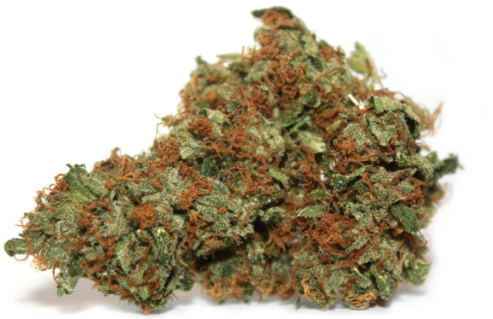 Chemdawg - Misty Canna Shop - Chemdawg Strain - Kush for Sale