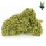 1-ounce-blue-cheese-(Hybrid), Blue Cheese | Marijuana for sale online | Buy Weed Online