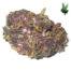 1 Ounce Grandaddy Purple Indica), Granddaddy Purple | Granddaddy Purple Seeds | granddaddy purple hytiva