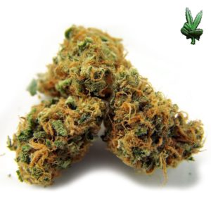 Pineapple Express Hybrid Strain | Pineapple Express Delivery | Pineapple Strain